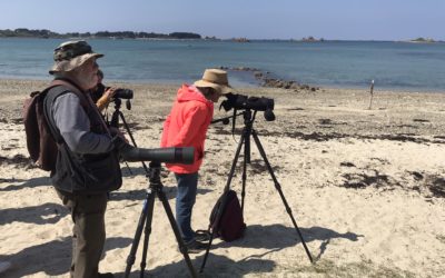 « Attention, on marche sur des œufs ! » : la mobilisation en Côtes d’Armor