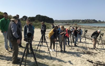 Opération « Attention, on marche sur des œufs ! » : 18 bénévoles formés pour sensibiliser les visiteurs