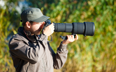 Conseils de saison : des photos de nature qui respectent la nature