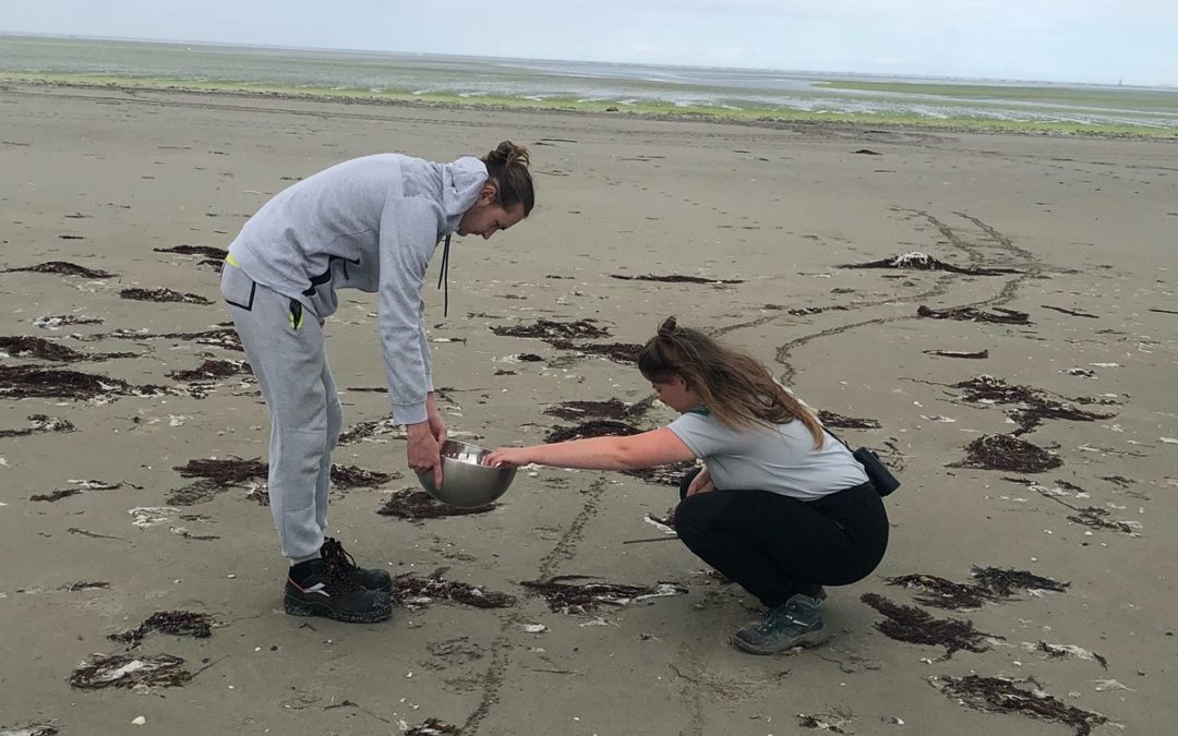 Un nouveau protocole d’études des déchets à la Réserve Naturelle