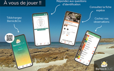 L’application Bernic&Clic récompensée aux Trophées Bretons du Développement Durable