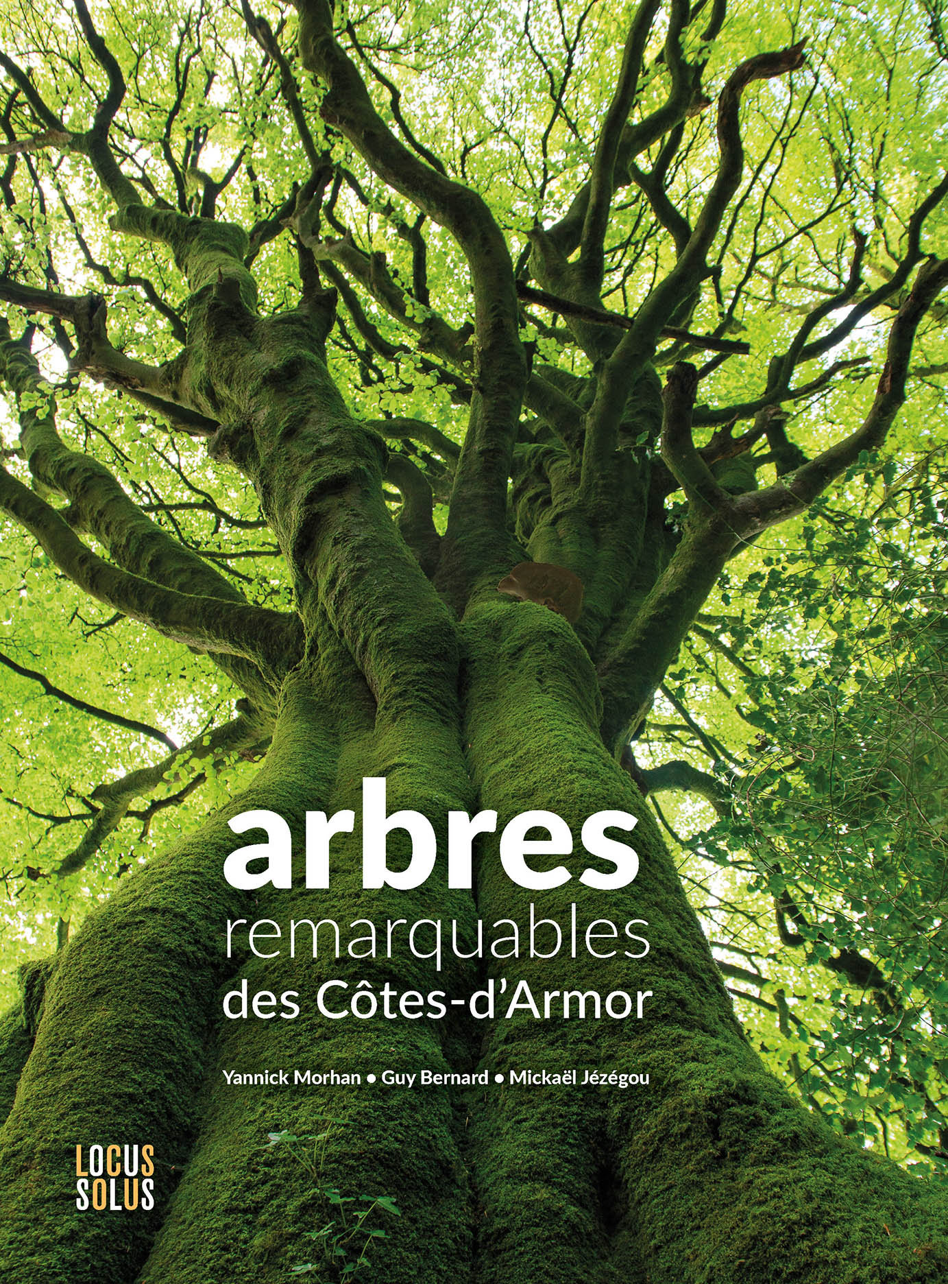 Sortie "A la découverte des arbres remarquables des Côtes d'Armor"