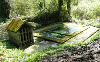 Le dernier « Râle d’eau » est arrivé chez nos adhérents !