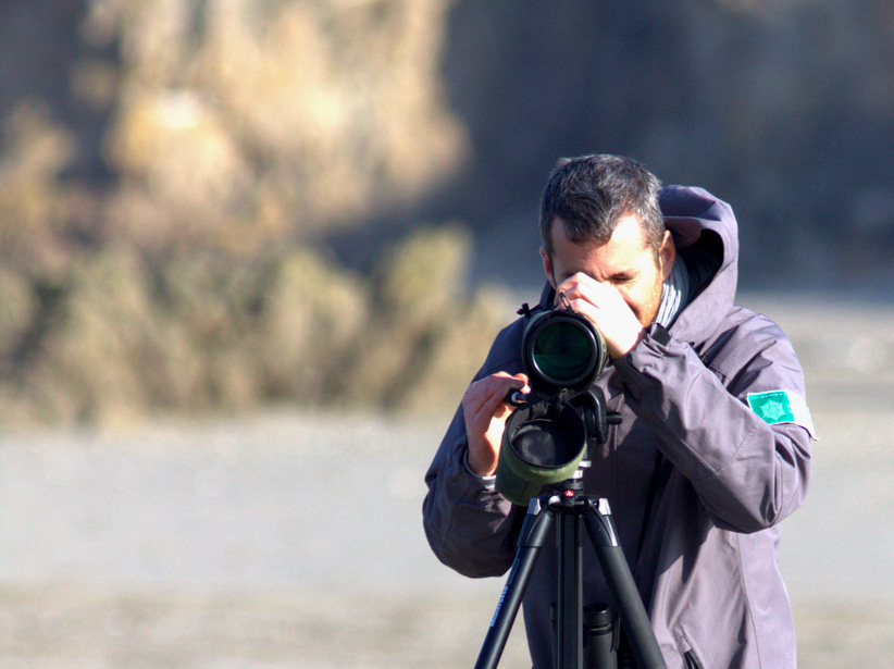 Comptage ornithologique en baie de Saint-Brieuc