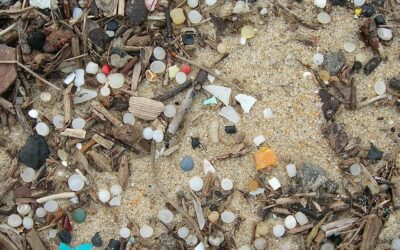 Pollutions plastique sur le littoral français : la synthèse du CEDRE