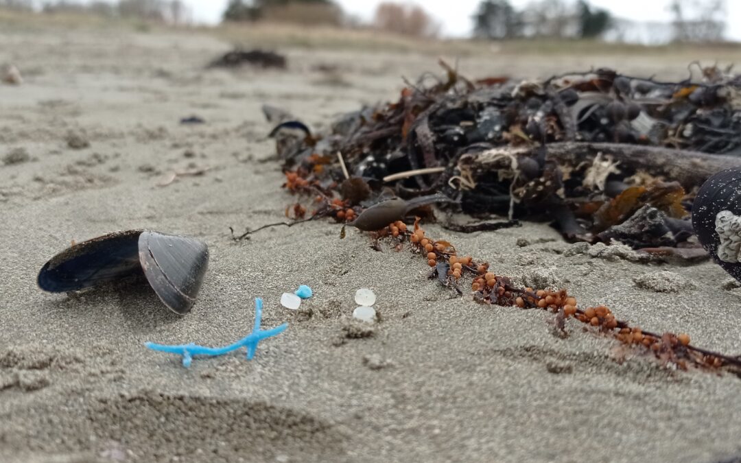 Des granulés de plastiques industriels sur nos côtes !