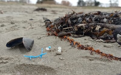 Des granulés de plastiques industriels sur nos côtes !