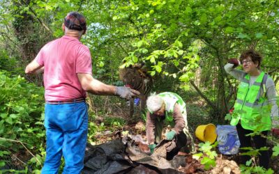 Ecorando : à déchets coriaces, bénévoles tenaces !