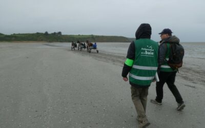 Ambassadeurs de la baie : le bilan des vacances d’avril