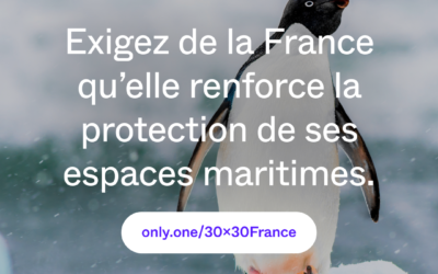 Appelons la France à renforcer la protection de ses aires marines protégées