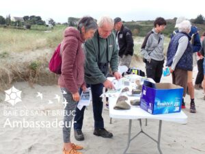 Ambassadeurs