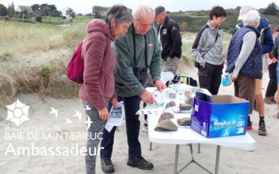 Observation des oiseaux avec les ambassadeurs de la baie