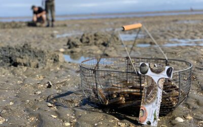 Grandes marées de la rentrée : près de 300 pêcheurs à pied sensibilisés