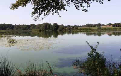 Atlas de la biodiversité intercommunale de Saint-Brieuc Armor Agglomération, c’est parti !