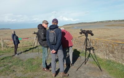 Fête des oiseaux migrateurs 2023