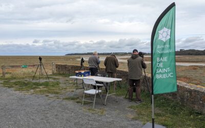 Observation des oiseaux avec les ambassadeurs de la baie