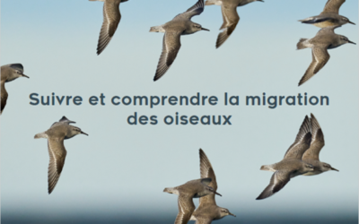 Le dernier « Râle d’eau » est arrivé chez nos adhérents !