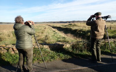 Observation des oiseaux avec les ambassadeurs de la baie