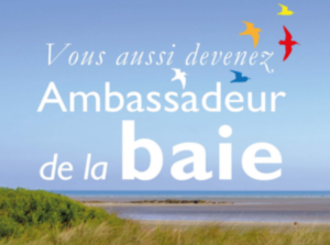 Venez rencontrer les ambassadeurs de la baie et observer les oiseaux à leurs côtés !