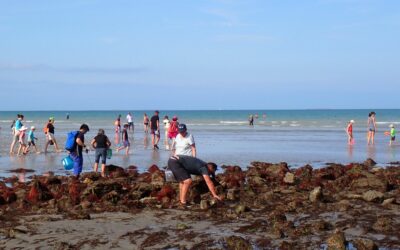 Dernières grandes marées de l’année : plus de 650 pêcheurs à pied sensibilisés