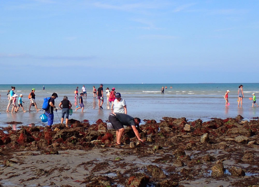 Sensibilisation des pêcheurs à pied à Martin-Plage