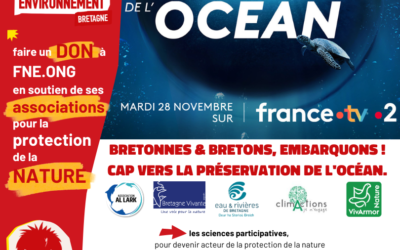 Les Super-Pouvoirs de l’Océan : le 28 novembre sur France 2