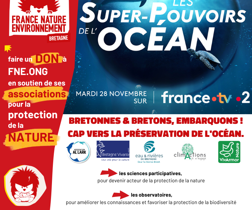 Les Super-Pouvoirs de l’Océan : le 28 novembre sur France 2