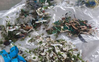 Des protocoles d’étude des déchets sur la Réserve naturelle de la baie de Saint-Brieuc