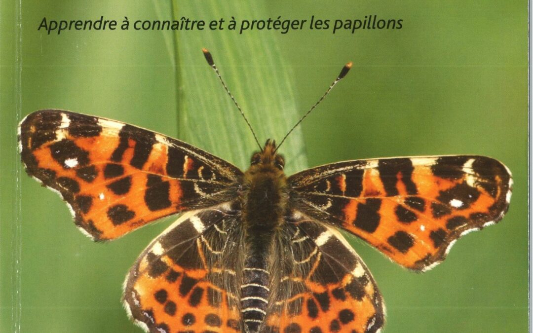 Téléchargez gratuitement le guide-atlas « Les papillons des Côtes d’Armor « 
