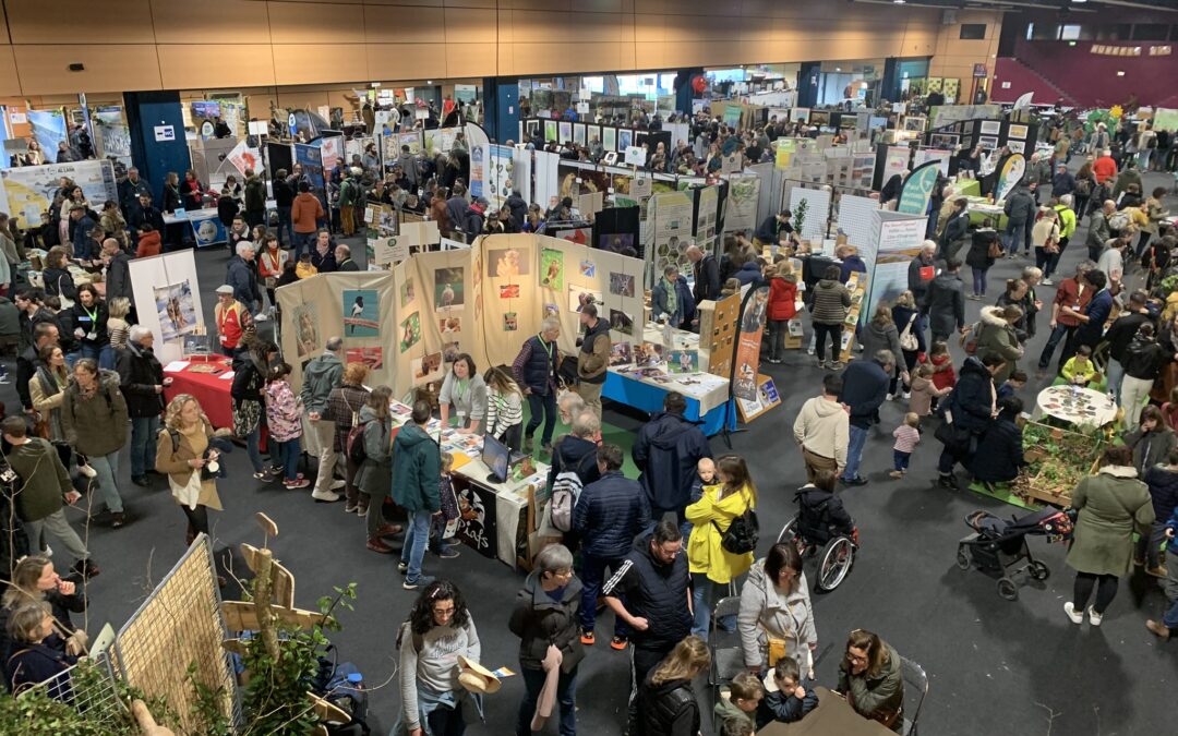 Festival Natur’Armor 2024 à Saint-Brieuc : « une édition qui a tenu ses promesses ! »