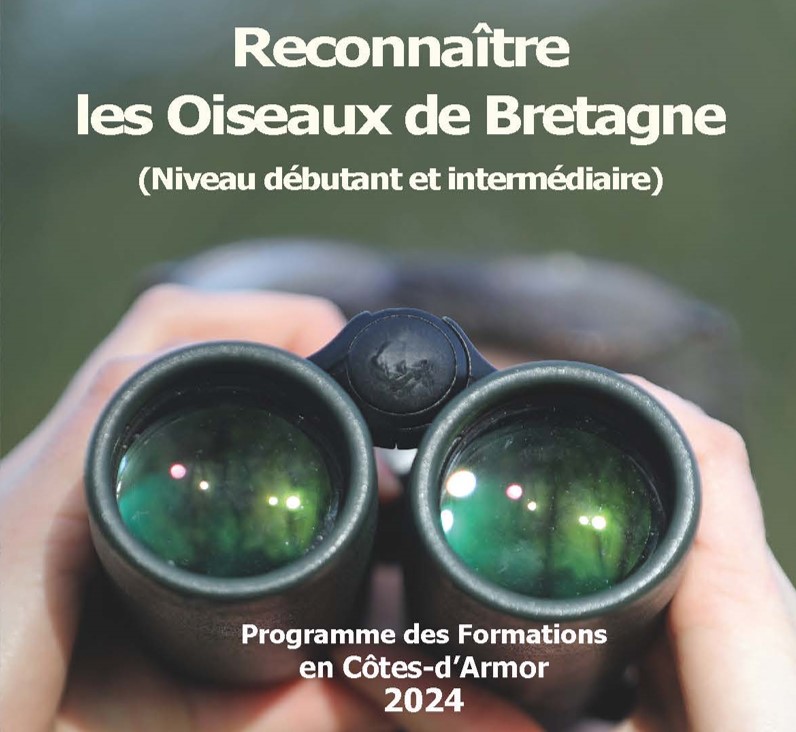 Formation du GEOCA : initiation à la reconnaissance des oiseaux