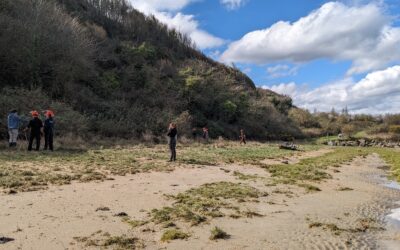 Lutte contre l’arbre à papillons sur la Réserve naturelle de la baie de Saint-Brieuc