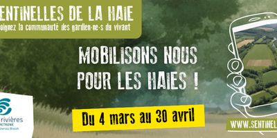 Mobilisons-nous pour le bocage en devenant sentinelles de la haie