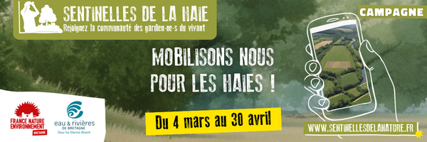 Mobilisons-nous pour le bocage en devenant sentinelles de la haie