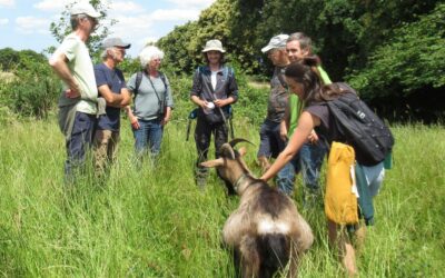 Appel aux naturalistes débutants et confirmés pour accompagner les « Paysans de nature »