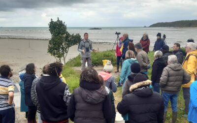 Bilan du nettoyage de la plage de la Grandville sur la Réserve Naturelle de la Baie de Saint-Brieuc