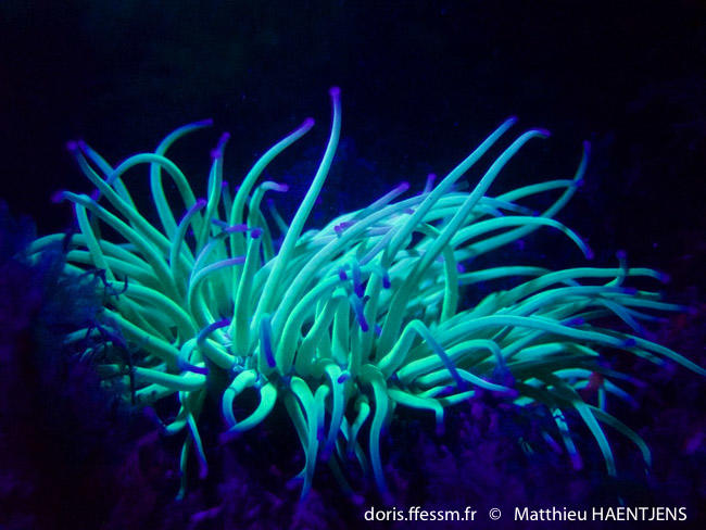 Sortie "La biodiversité du littoral au crépuscule"