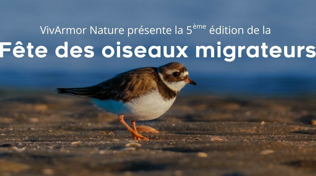 Cinquième édition de la Fête des oiseaux migrateurs