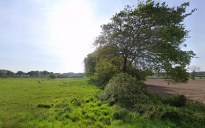 Consultation publique : non au décret qui facilite la destruction des haies !