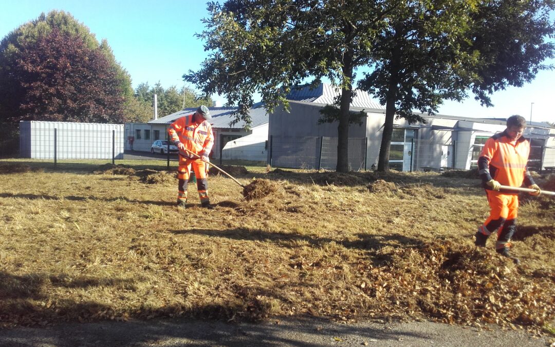 Gestion en faveur de la biodiversité à l’espace KERAIA : appel aux bénévoles