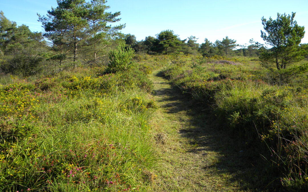 Soutenez le projet de Réserve naturelle régionale des landes et bocage de La Poterie