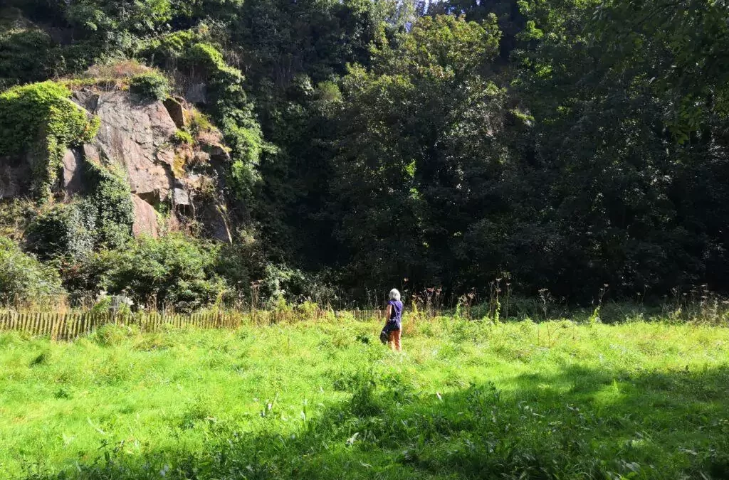 Baie des sciences : La géologie dans tous ses états