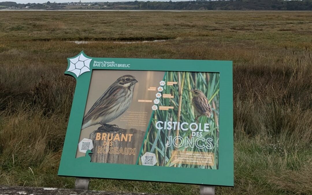 Inauguration du sentier d&rsquo;interprétation sur les grèves de Langueux