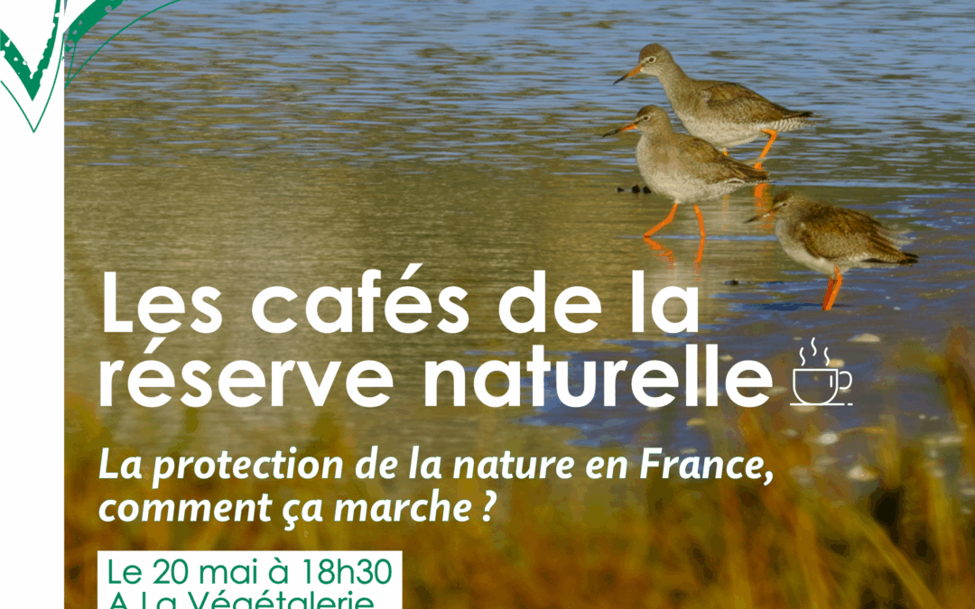 Les cafés de la réserve naturelle : moment d&rsquo;échanges