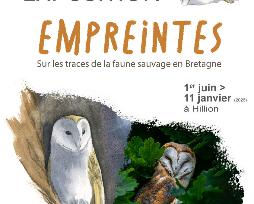 En ce moment à la Maison de la Baie…