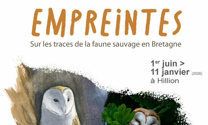 En ce moment à la Maison de la Baie...