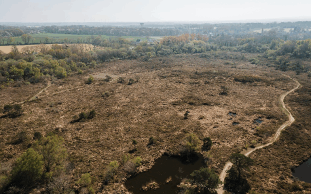 Fondation du patrimoine : votez pour les landes de La Poterie !
