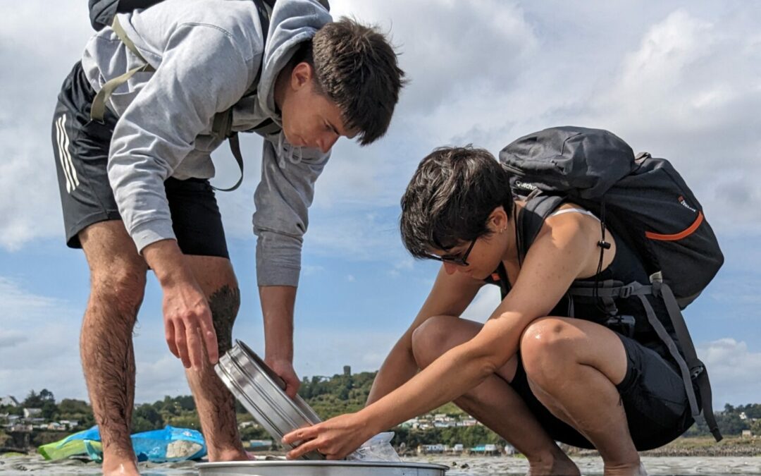 Évaluation du gisement de bivalves du fond de la baie de Saint-Brieuc