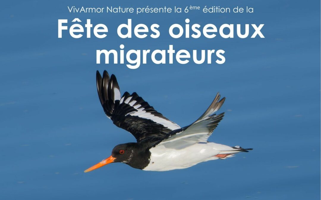 Fête des oiseaux migrateurs 6ème édition