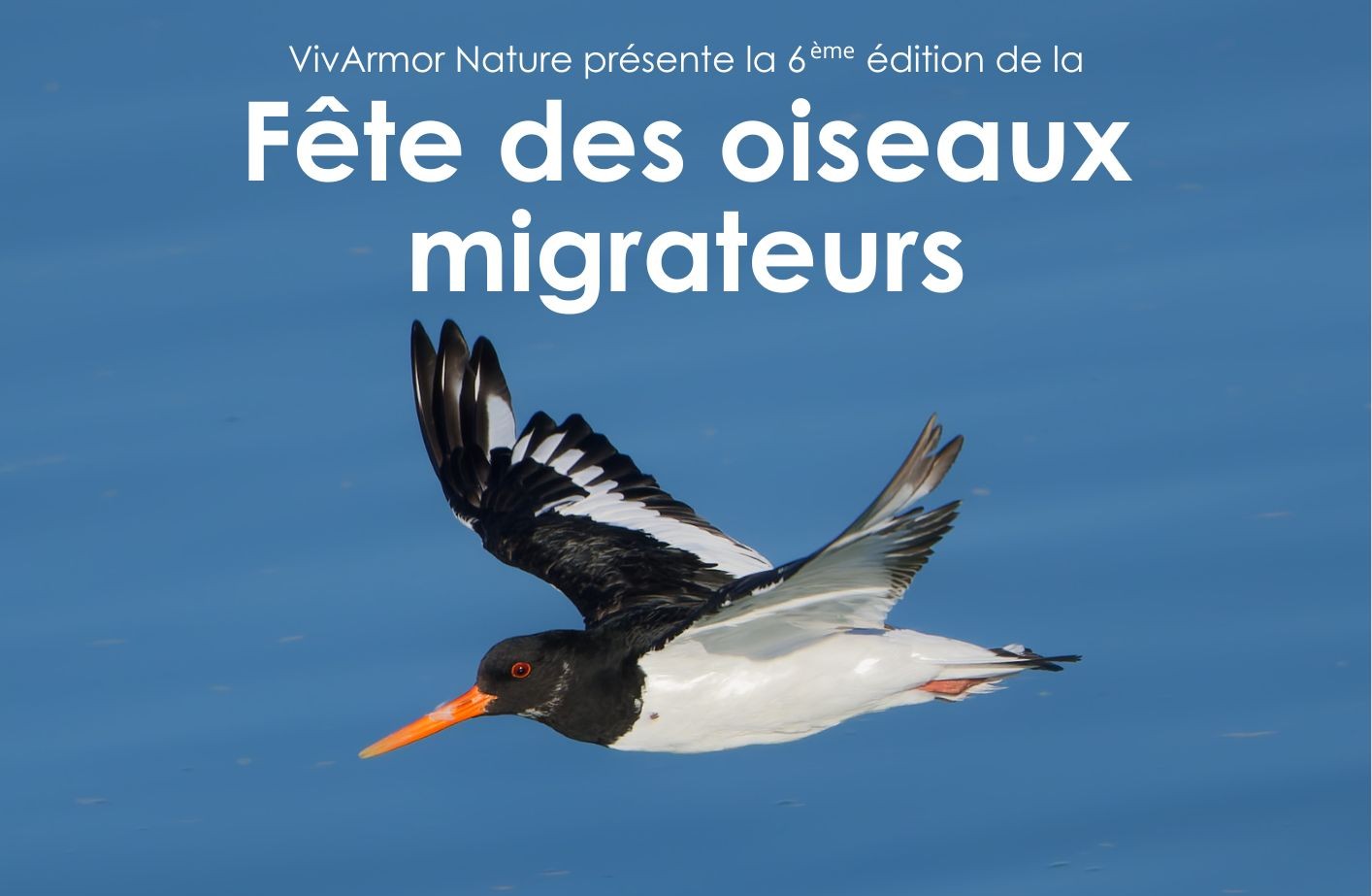 Fête des oiseaux migrateurs 6ème édition
